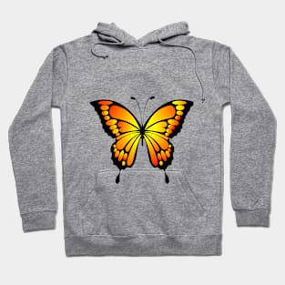 butterfly art Hoodie